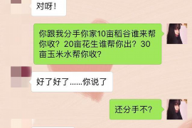 靖安靖安的要账公司在催收过程中的策略和技巧有哪些？